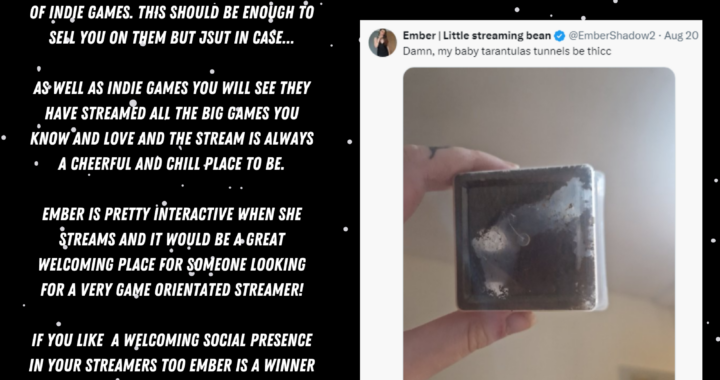 Meet The streamer: Ember Shadow